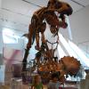 ROM